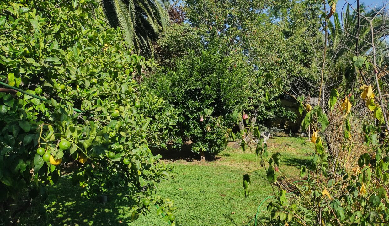IMG_20240305_110245585_HDR