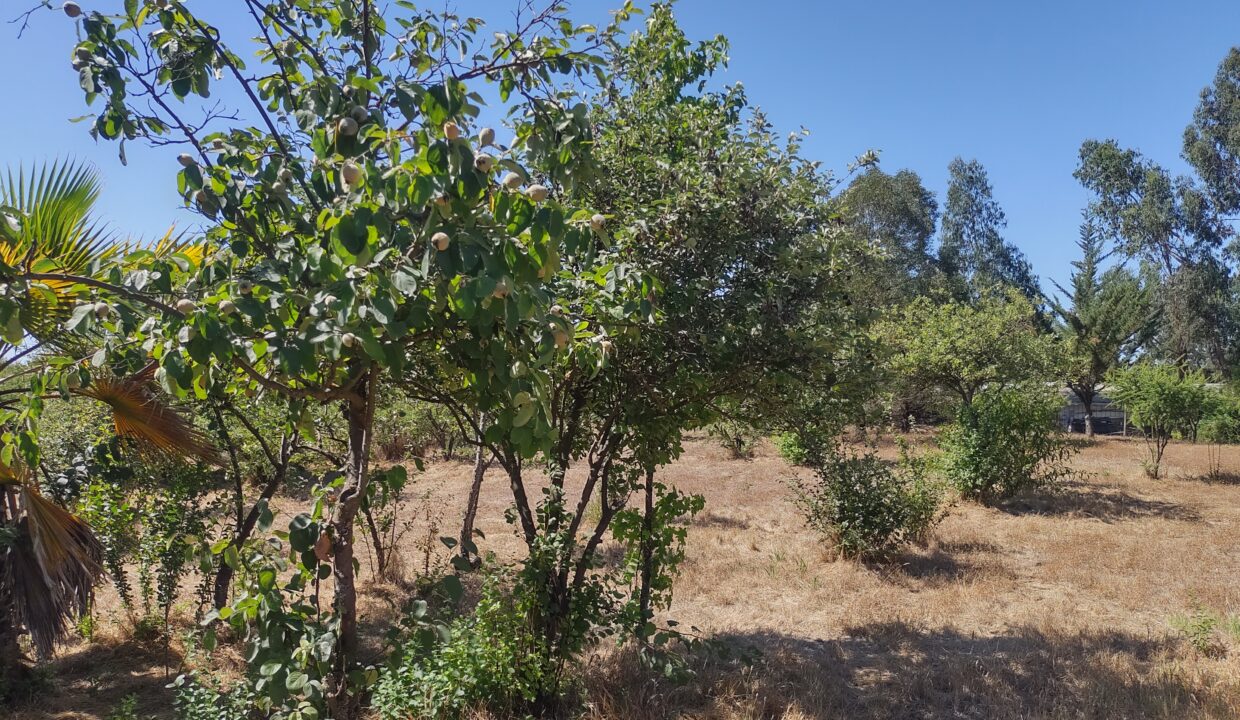 IMG_20240111_164042098_HDR