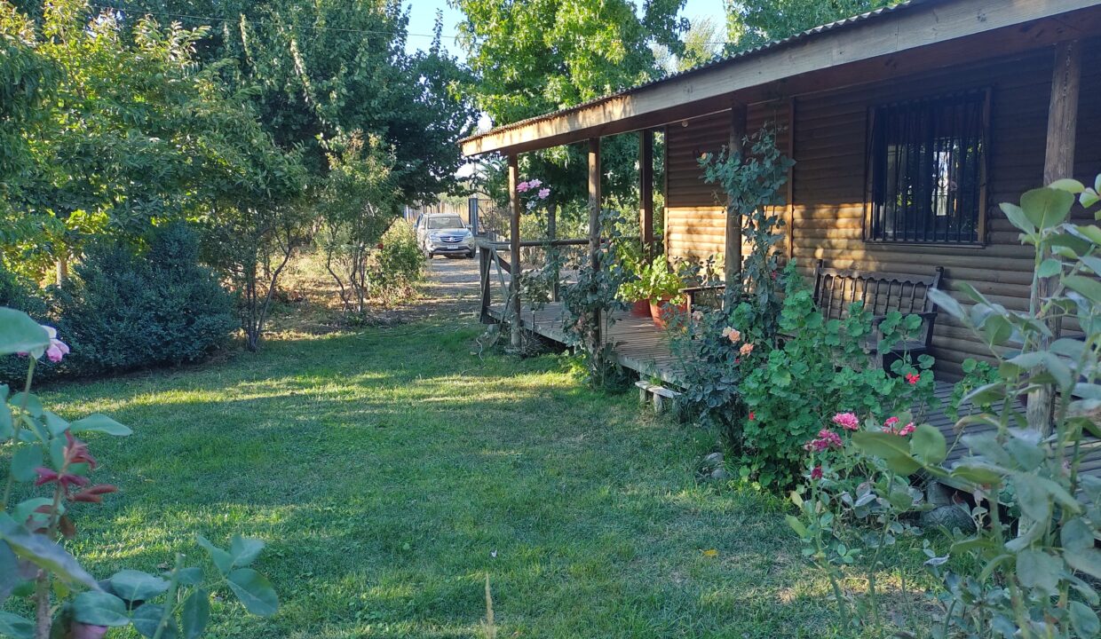 IMG_20240308_184549274_HDR