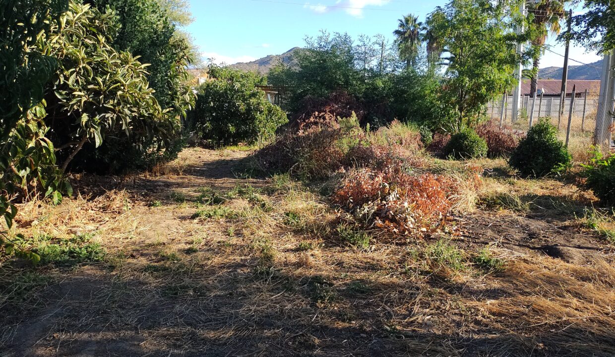 IMG_20240308_184555383_HDR