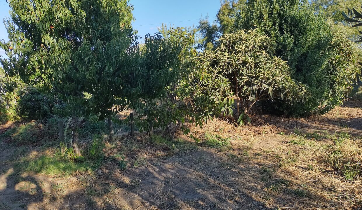 IMG_20240308_184611643_HDR
