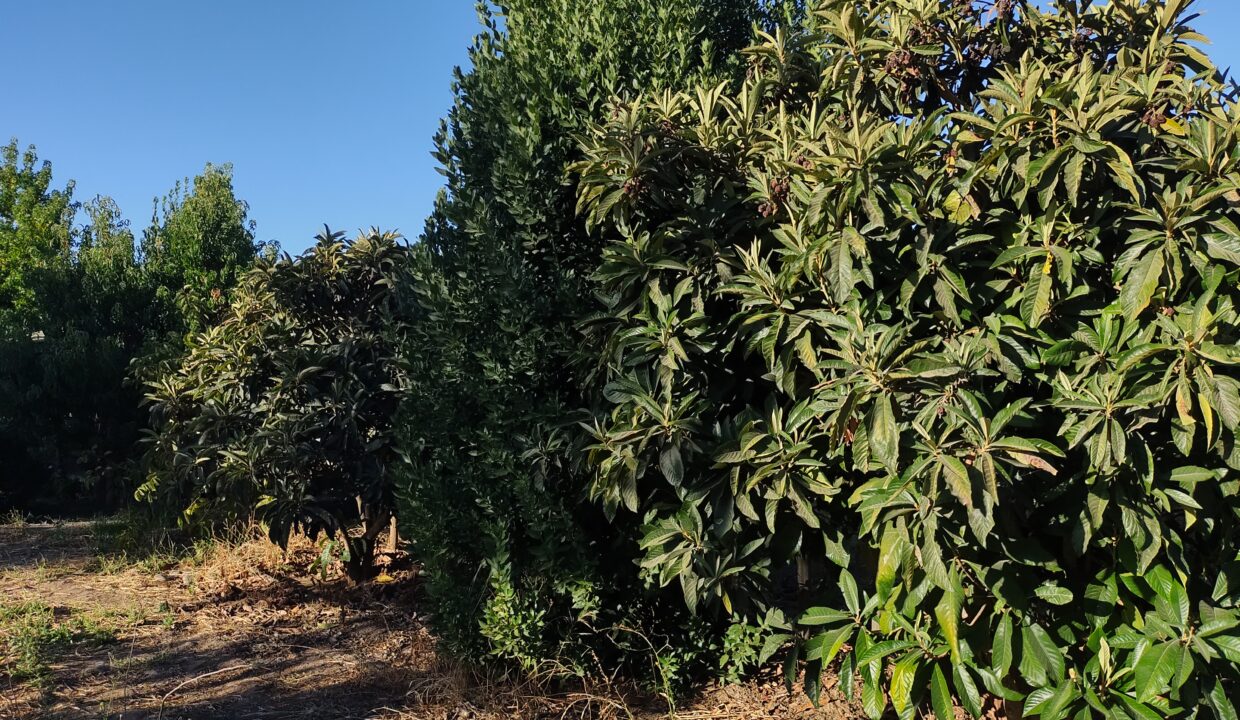 IMG_20240308_185328149_HDR