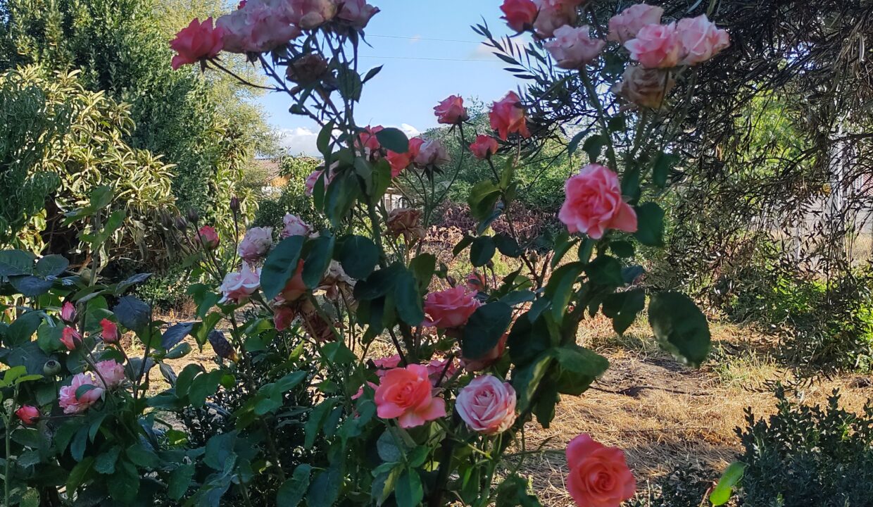 IMG_20240308_185508232_HDR