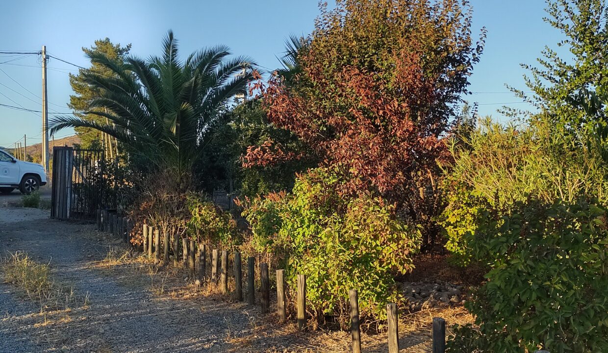 IMG_20240308_194059354_HDR