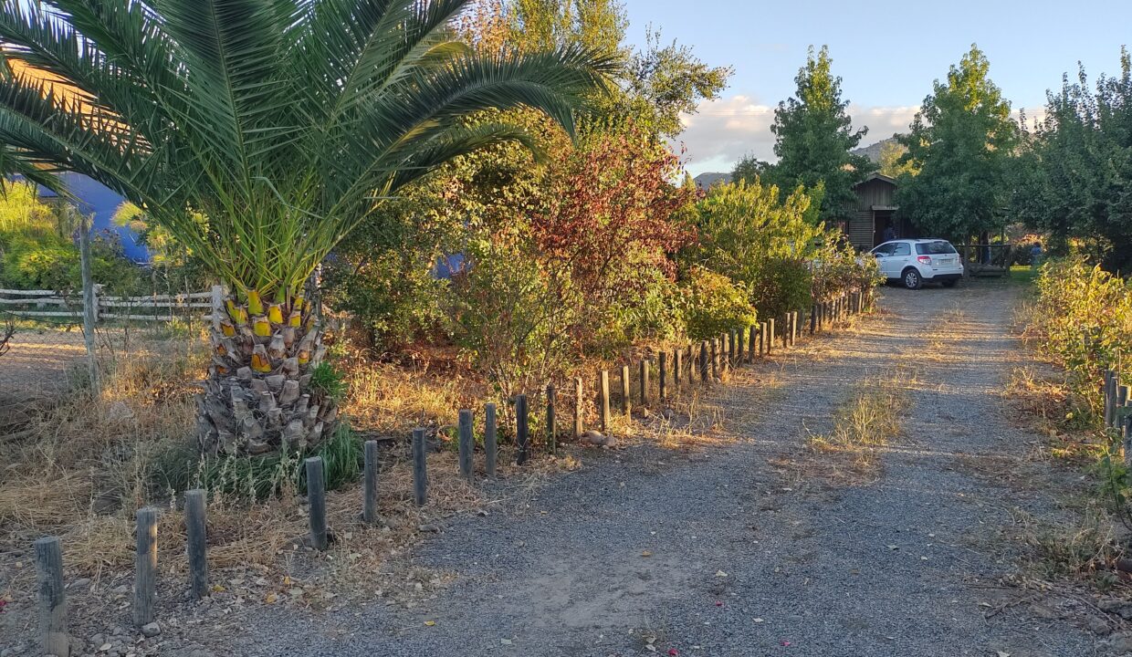 IMG_20240308_194147457_HDR