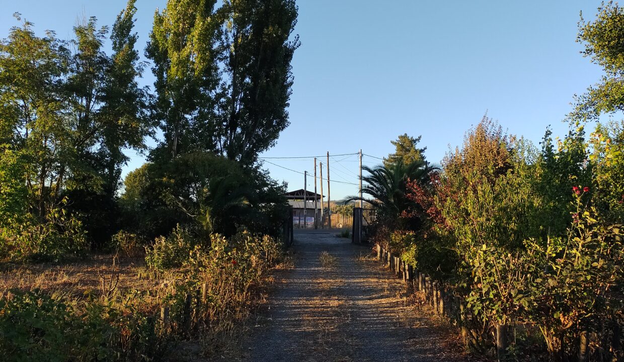 IMG_20240308_194318715_HDR