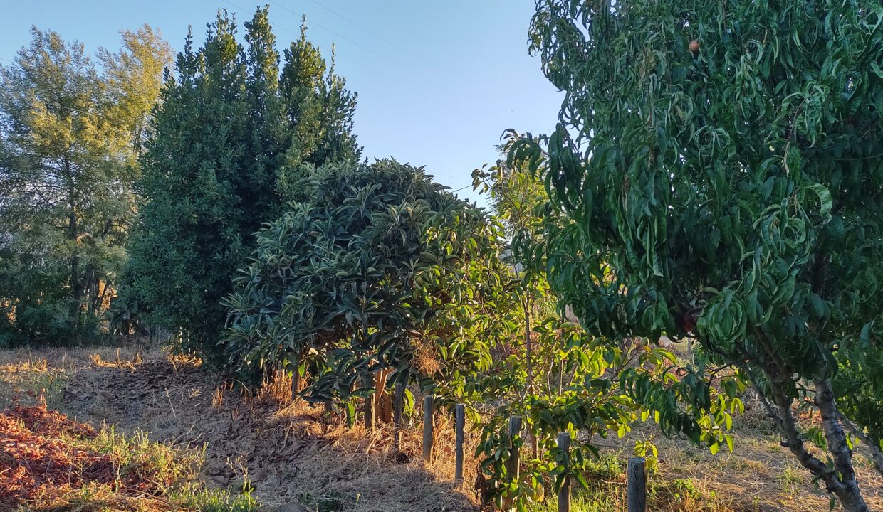 IMG_20240308_194656998_HDR